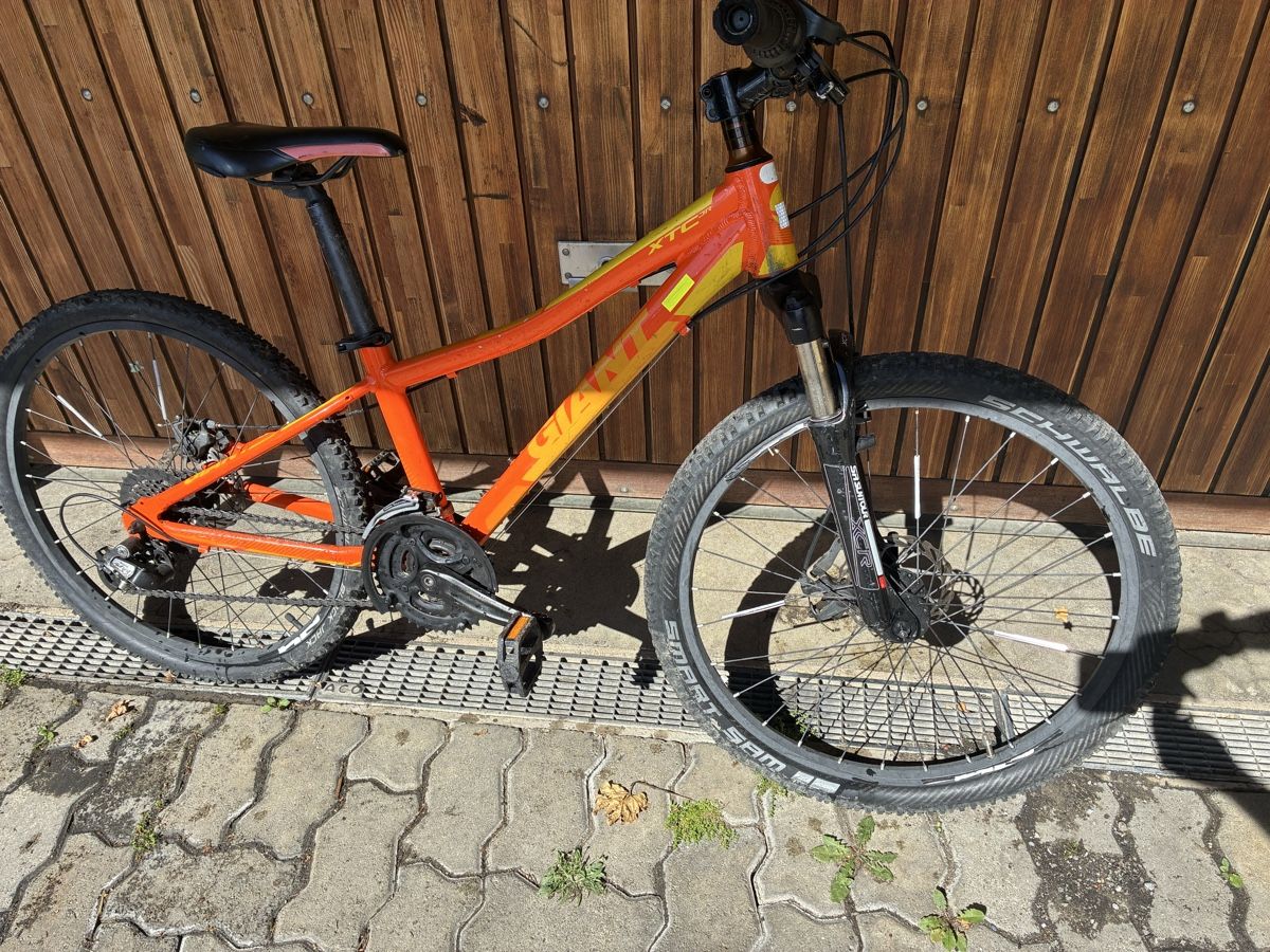 Giant Biciclette: GIANT Kinder Velo 24 Zoll – Usato da Baar venduto da LDRGmbH 3