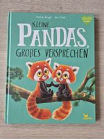 Bilderbuch Pandas grosses Versprechen