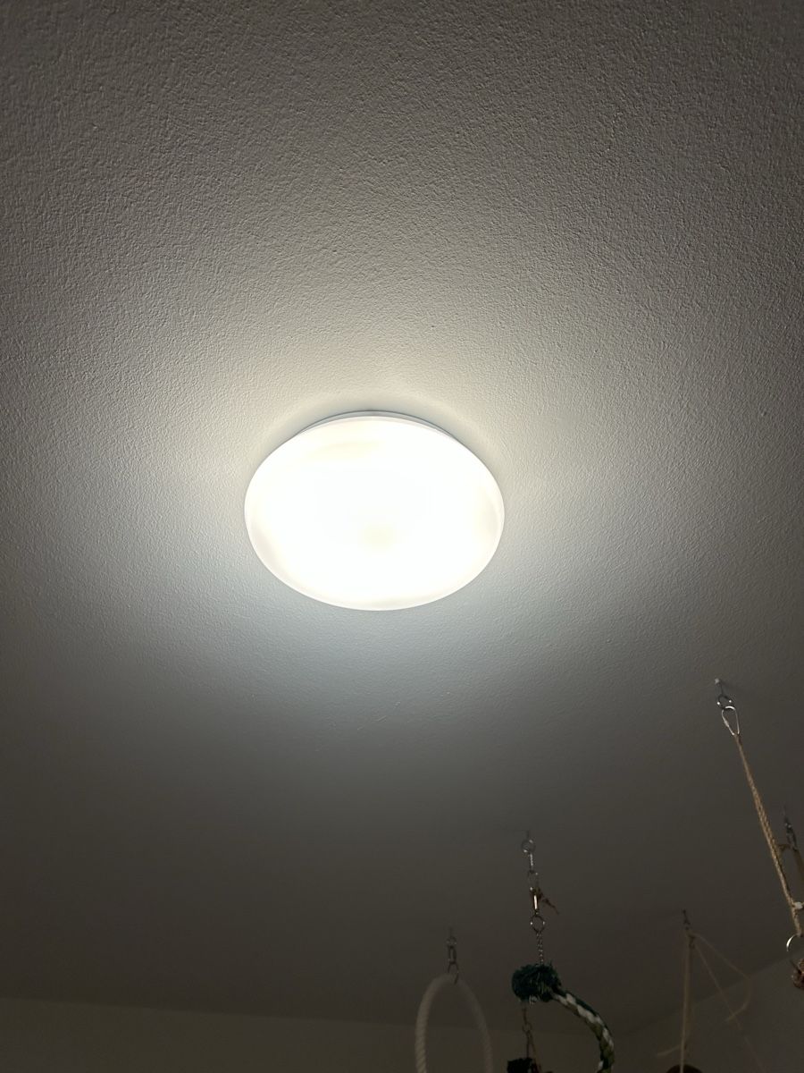 Lustres & lampes de plafonds: LED Deckenleuchte Dimmbar – D'occasion à Fehraltorf par jan_k85b