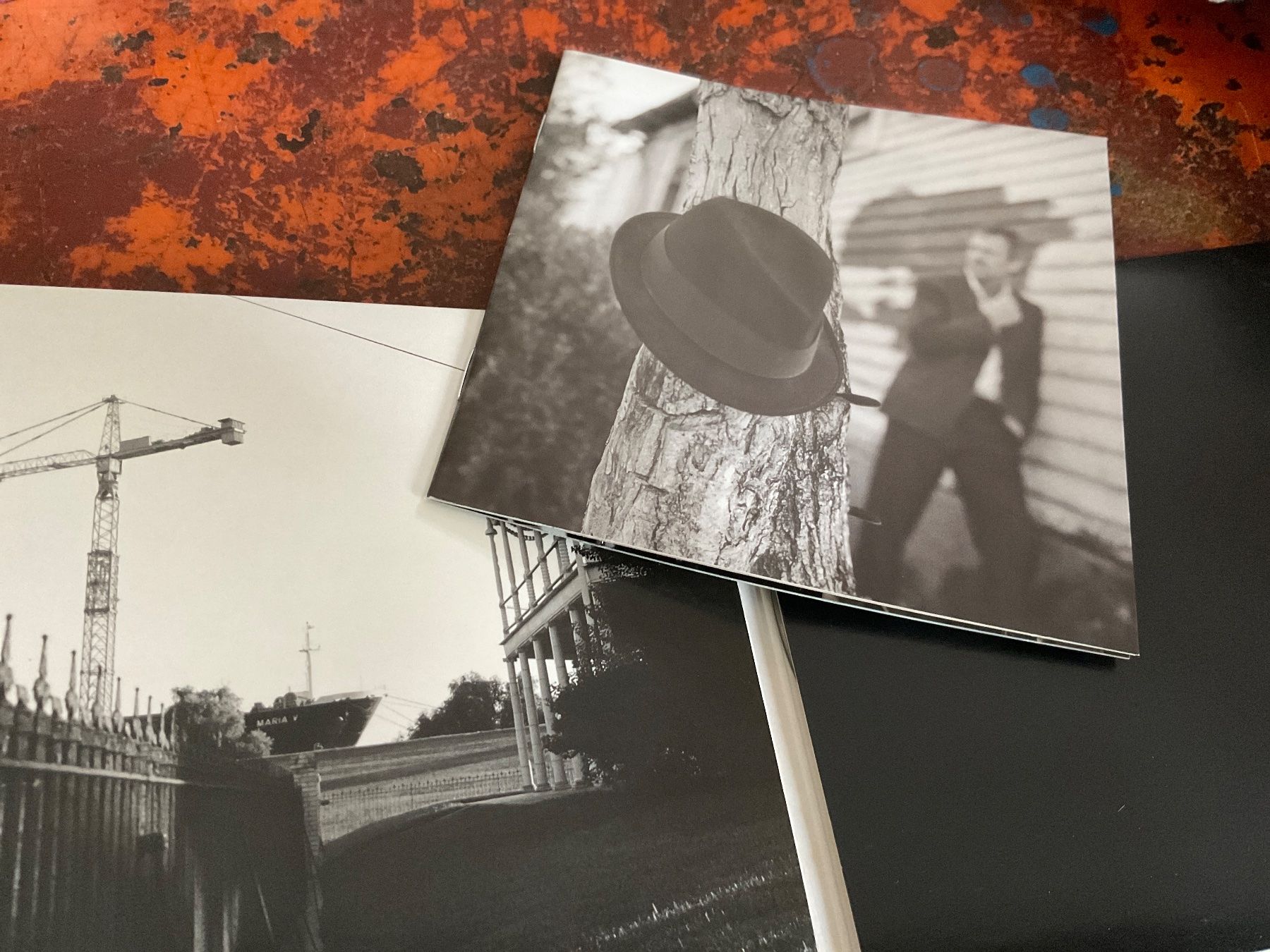 CD: Hugh Laurie Let them talk CD – Nuovo (secondo la descrizione) da Delémont venduto da vinylfreak01 2