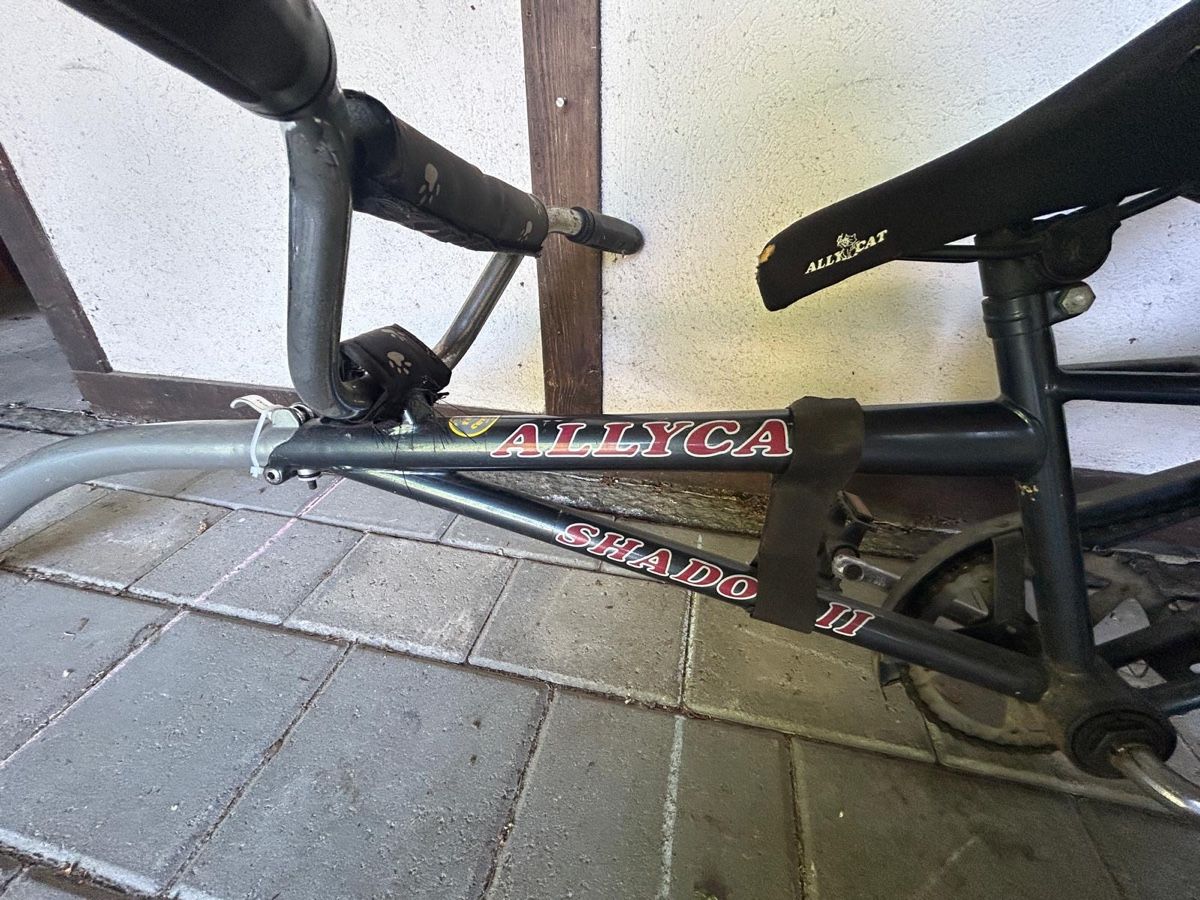 Velos: Schattenvelo Allycat – Gebraucht aus Jegenstorf von Bahnhofshallenkiosk 2