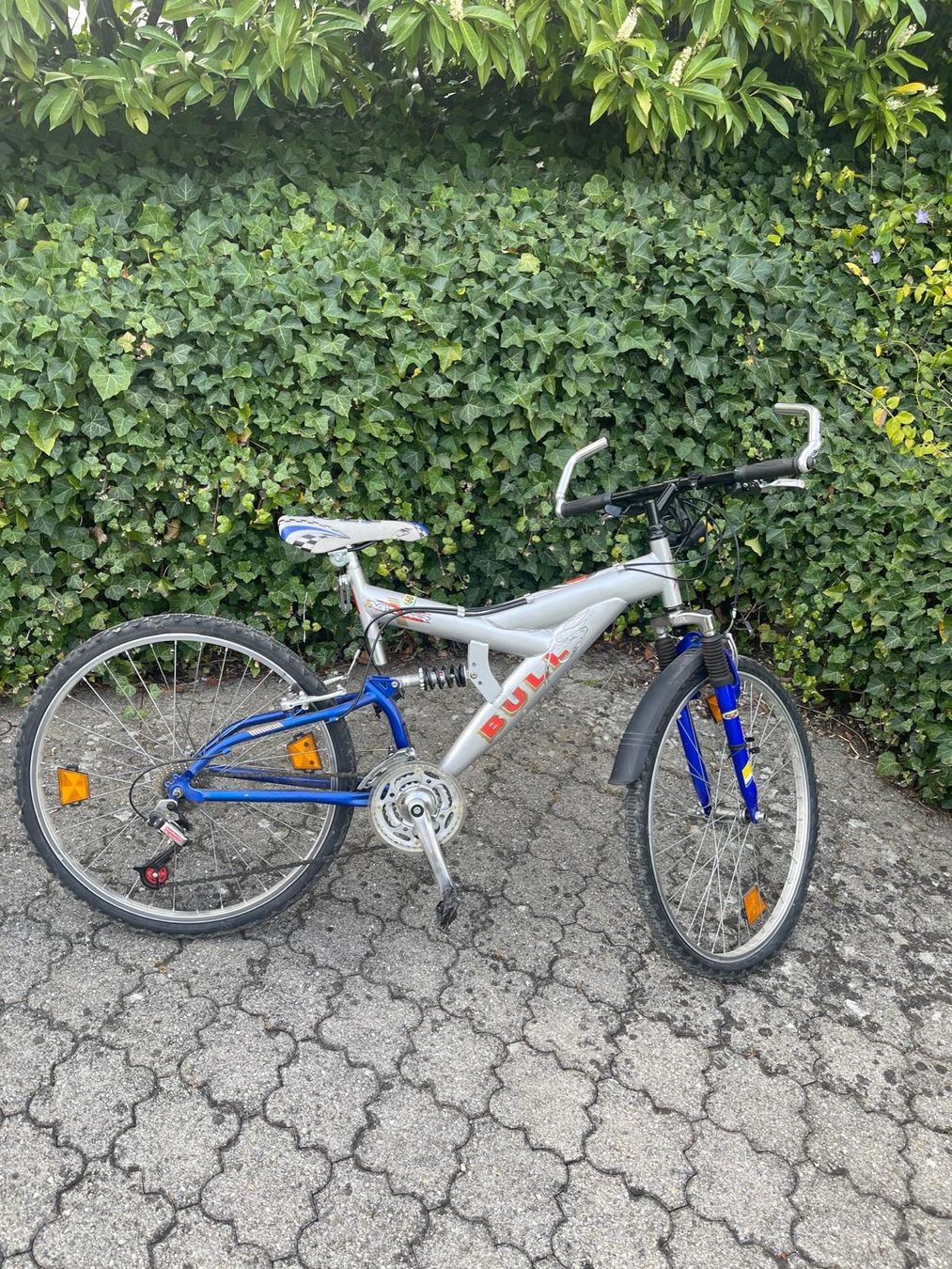 Biciclette: Mountainbike Bull – Usato da Zürich venduto da pilot25