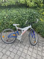 Mountainbike Bull
