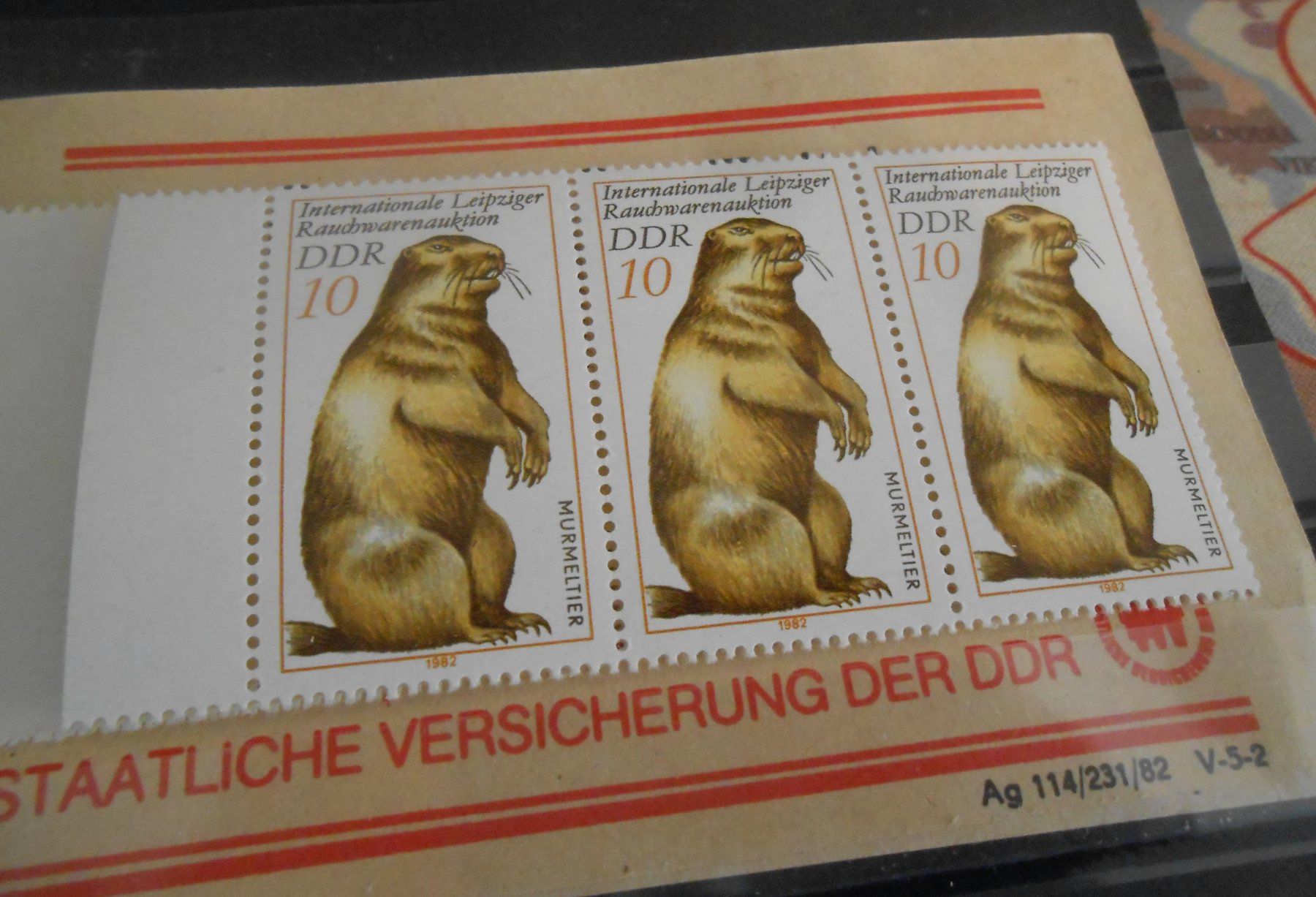 Tutti i francobolli: Briefmarkenheft DDR Murmeltier 10 Pfennig 1982 – Usato da Basel venduto da Javer