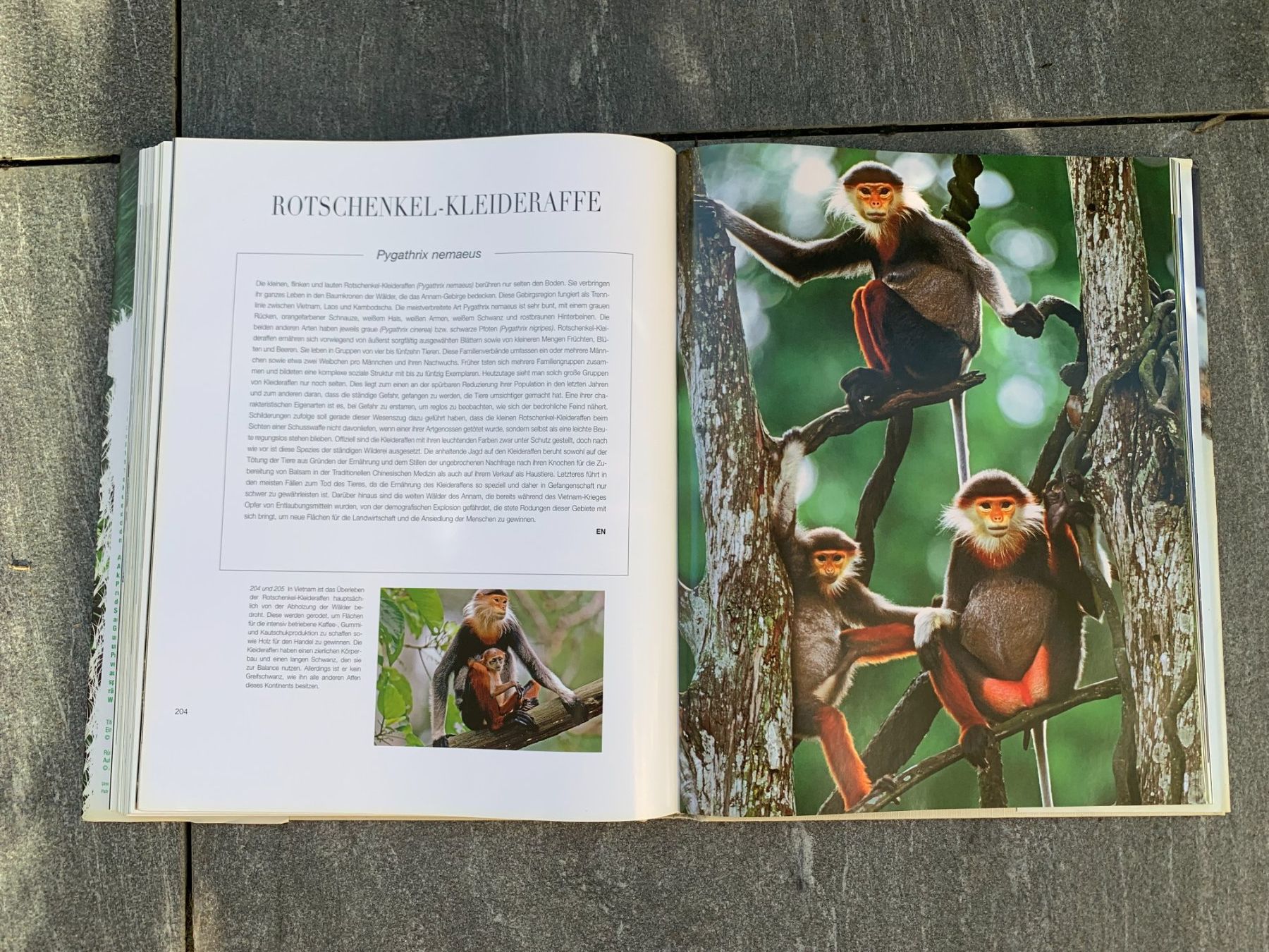 Libri: WWF Artenschutz Buch – Usato da Vaduz venduto da kev_m2pt 4