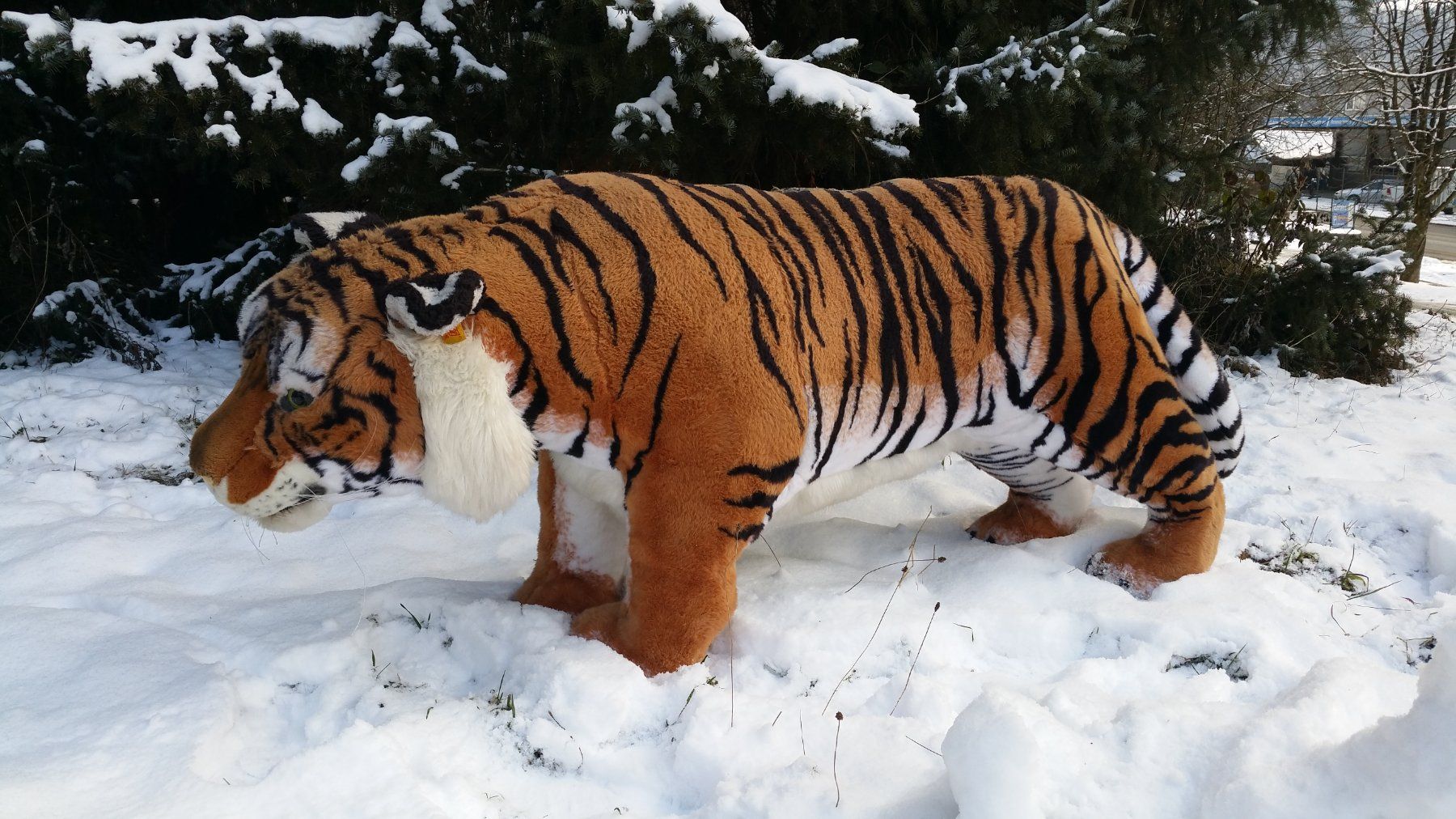 Spielzeuge: Steiff Studio-Tiger – Gebraucht aus Zwingen von moje1 3