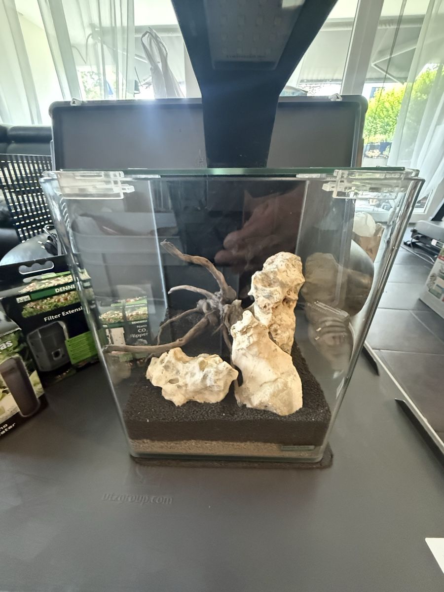 Aquarium: Mini Dennerle Cupe komplett  – D'occasion à Pfäffikon ZH par dan_xs7t