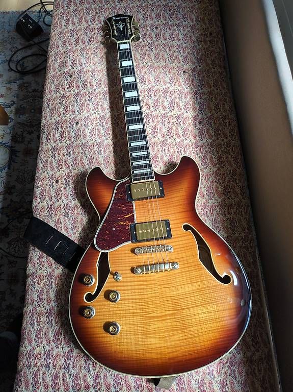 Musikinstrumente: Gitarre linkshänder lefthand lefty – Gebraucht aus Lyss von pet_69c5