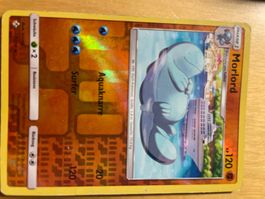 Pokemon Karten