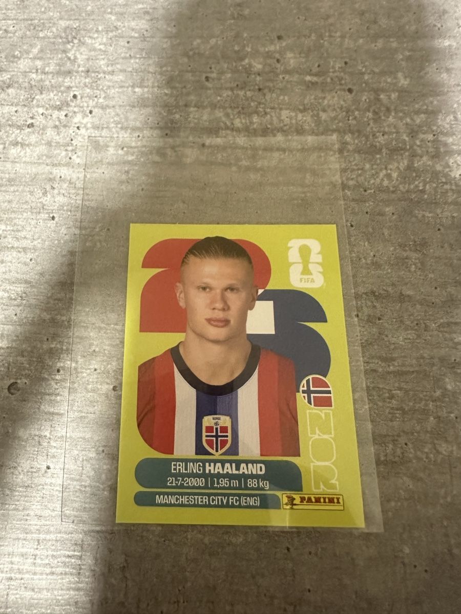 Panini Carte collezionabili: NOR 15 , FIFA WORLD CUP 2026 PANINI  – Nuovo (secondo la descrizione) da Frauenfeld venduto da 1PegPeg1