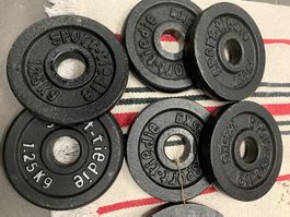 6 Stk. Hantelscheiben 1.25kg