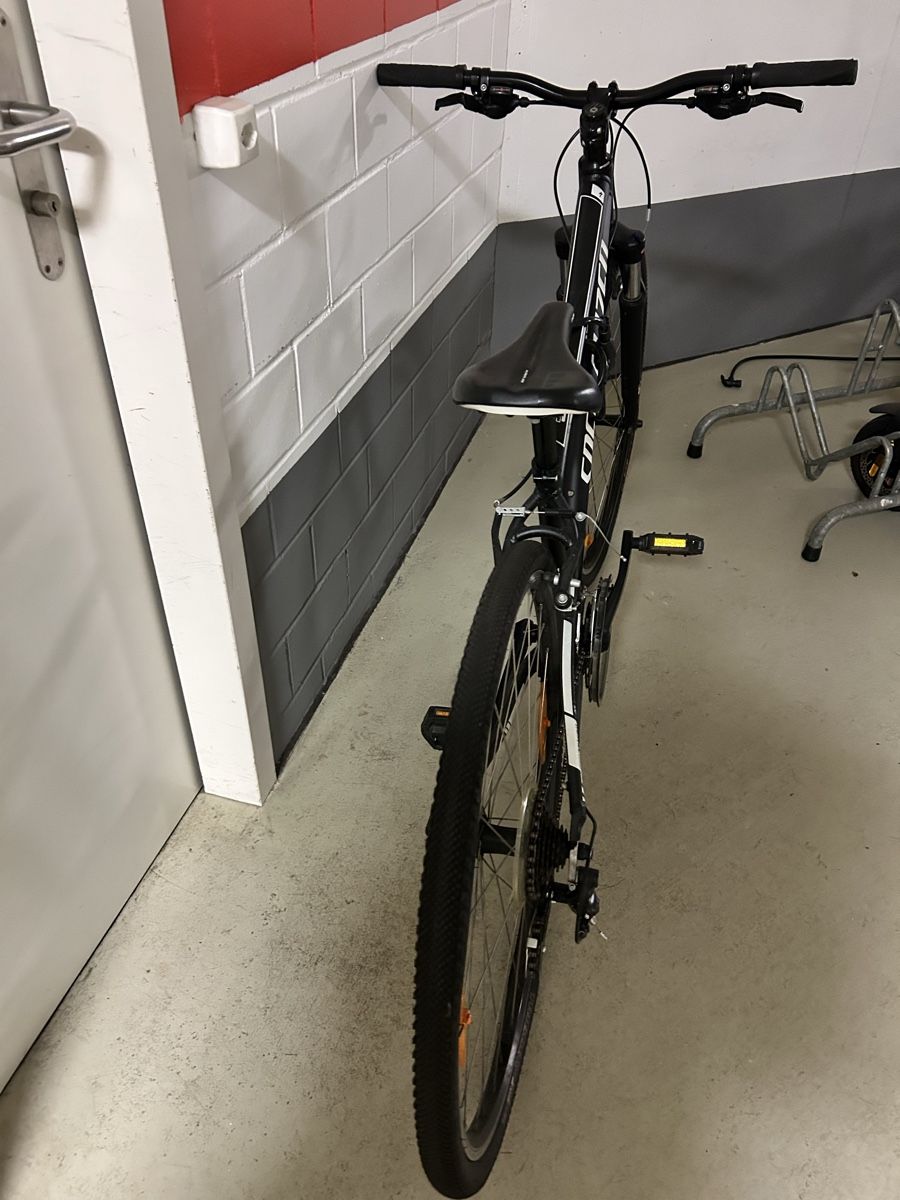 Specialized Velos: Bicicletta taglia S – Gebraucht aus Montagnola von ste_w9hh 3