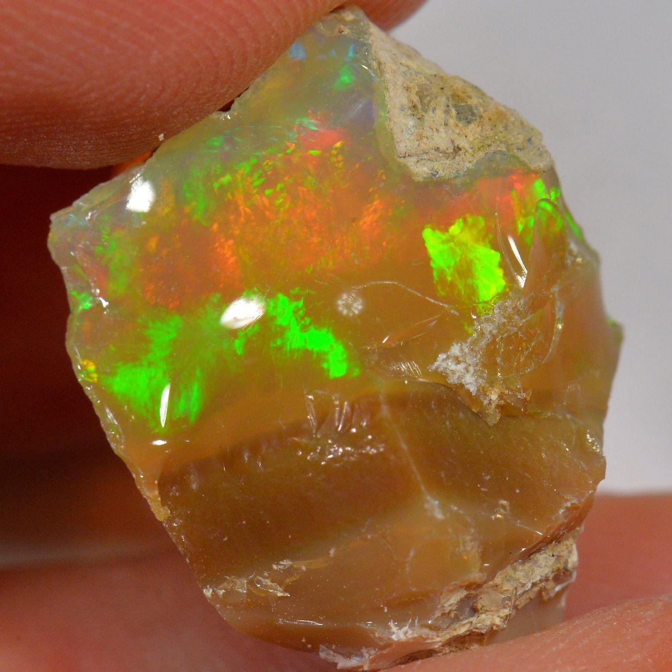 Pierres précieuses: 17.8 Karat - Roher Äthiopischer Welo Opal – Neuf (Voir description) à Rüti ZH par DeinOpal 1
