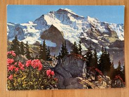 AK von Berg Jungfrau