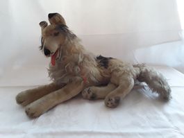 Steiff collie