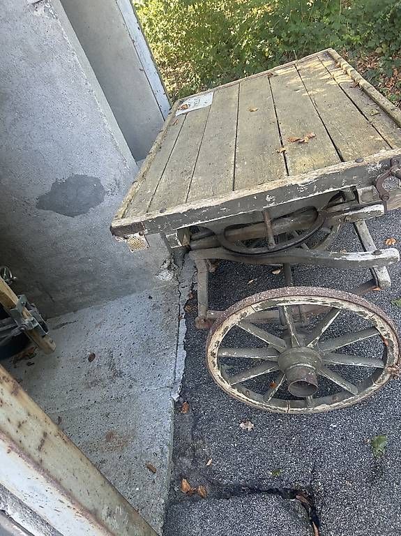 Carrozze: Antiker Pferdewagen  – Usato da Winterthur venduto da Campos1 2