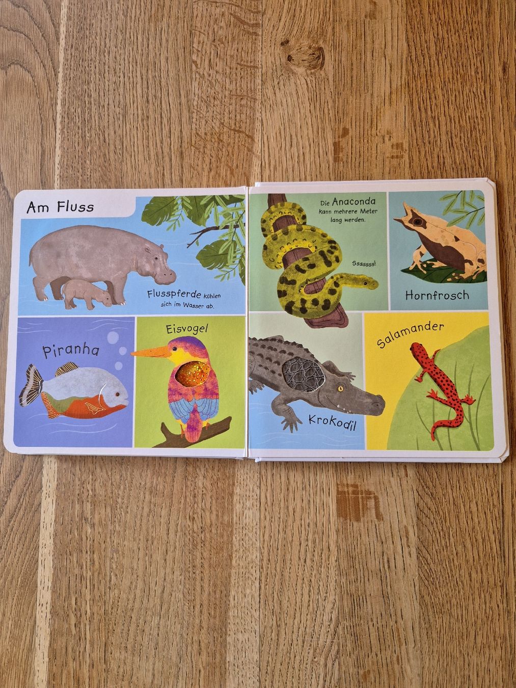Libri: Bilderbuch Kinder – Usato da Valens venduto da Limaj 5