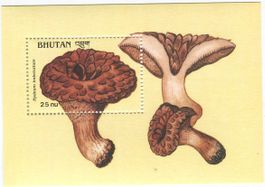 Block "Pilze". Bhutan