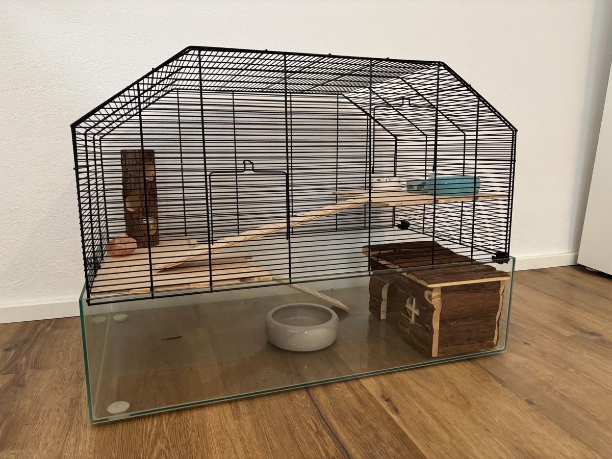 Cages, transport & sécurité: Hamsterkäfig – D'occasion à Wettingen par Brisa2011