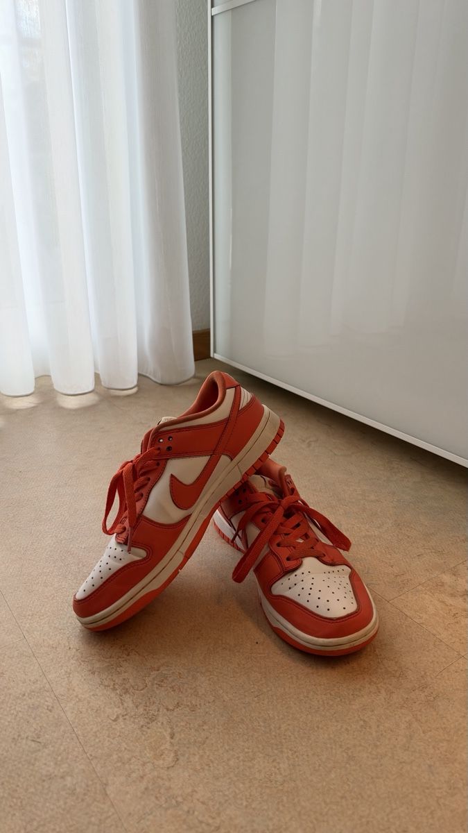 Nike Scarpe da uomo: Nike Dunks – Usato da Bülach venduto da user558 1