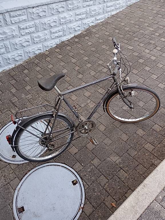 Vélos: Herrenvelo – D'occasion à Erlinsbach SO par ivo_525