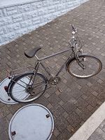 Herrenvelo