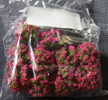 10 Obstbäume pink H0 7-8 cm
