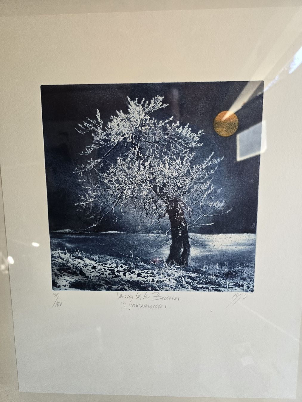 Foto & Immagini: Original Radierung "Verschneiter Baum" – Usato da Winterthur venduto da UmzugsFundgrube 1