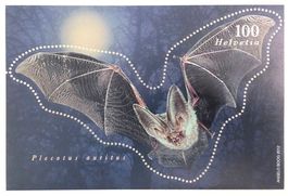 BLOCK FLEDERMAUS 2012**