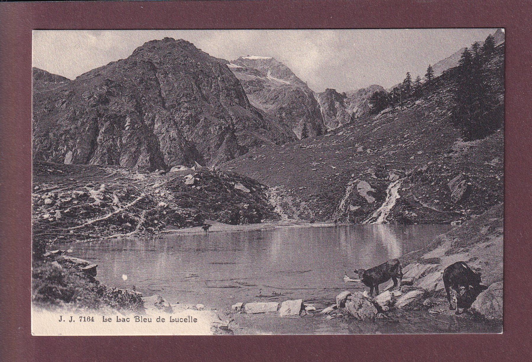 Ansichtskarten: Lac bleu de LUCELLE - Vaches – Gebraucht aus Pully von nicecards