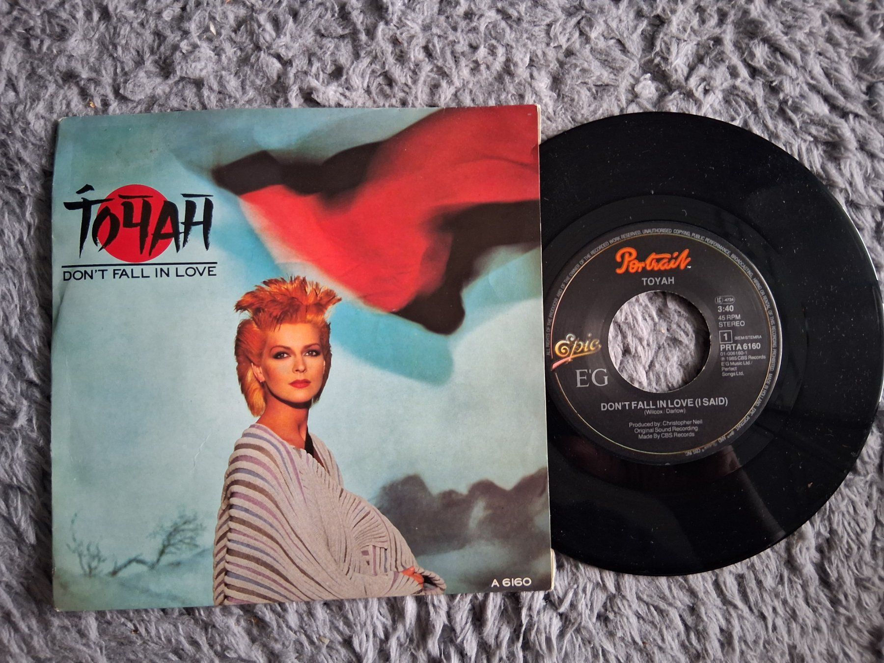Dischi in vinile: TOYAH      DON'T FALL IN LOVE      7NER SINGLE – Usato da Wetzikon ZH venduto da Ramones01