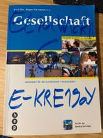 Gesellschaft Luzern 4. Auflage Lehrmittel gebraucht