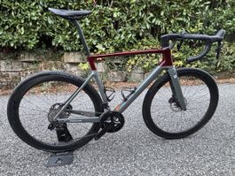 A vendre, Focus Izalco Max 8.9 (2024, taille L)