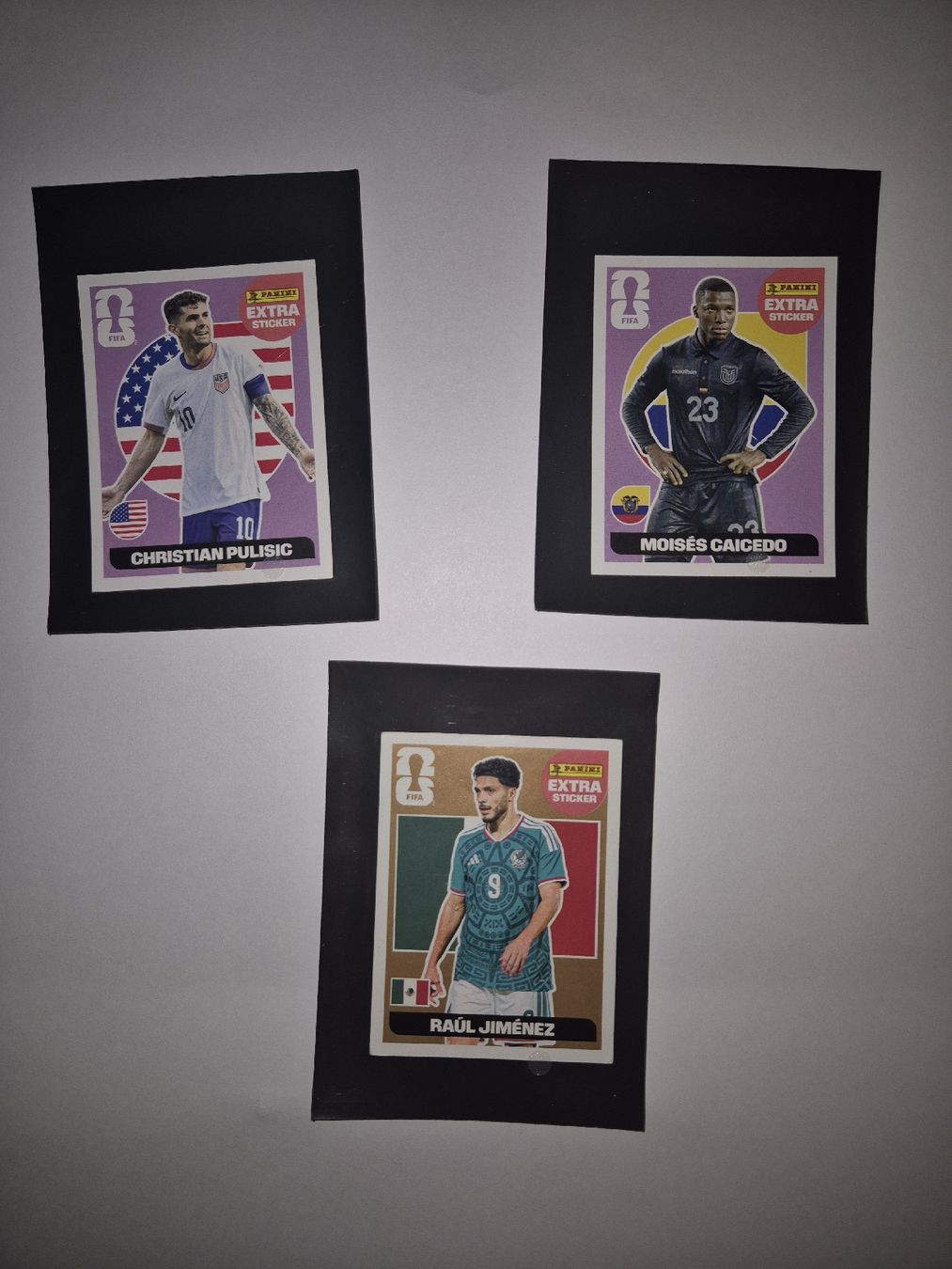 Panini Carte collezionabili: Panini extra sticker 2026  – Nuovo (secondo la descrizione) da Bubikon venduto da Migg4