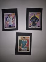 Panini extra sticker 2026 