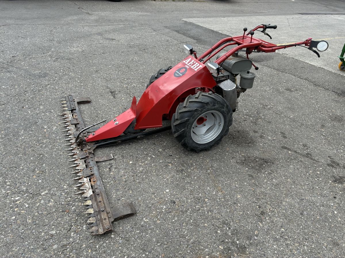 Aebi Tutte le macchine: Motormäher Aebi AM 40 – Usato da Lanzenhäusern venduto da motor01