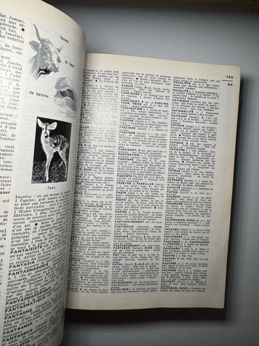 Libri: Petit larousse dictionnaire ancien  – Usato da Renens VD venduto da Dan.1020 5