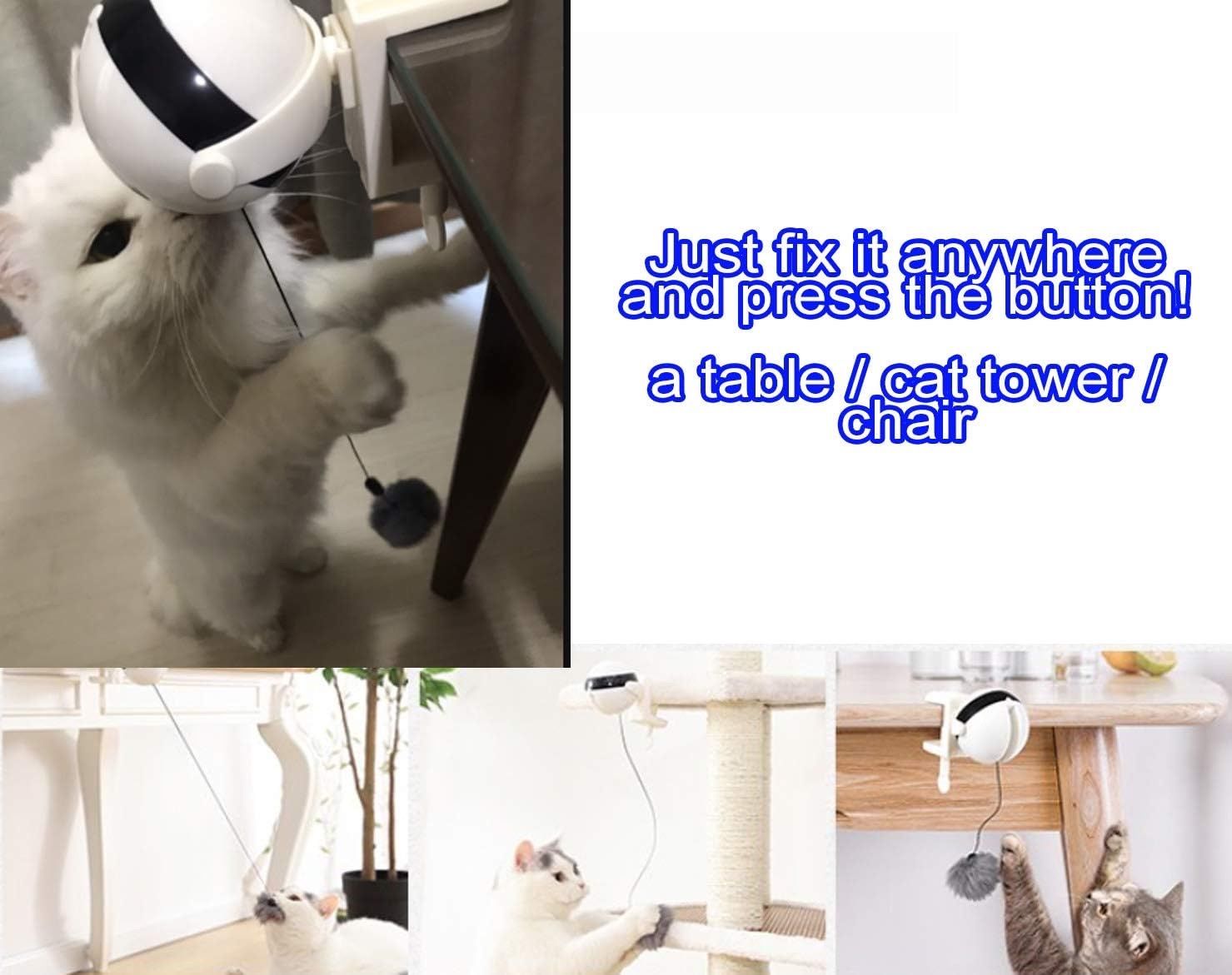 Giocattoli: Very Funny Cat Yo-Yo Toy – Nuovo e nell'imballaggio originale da Lausanne venduto da oenix 5