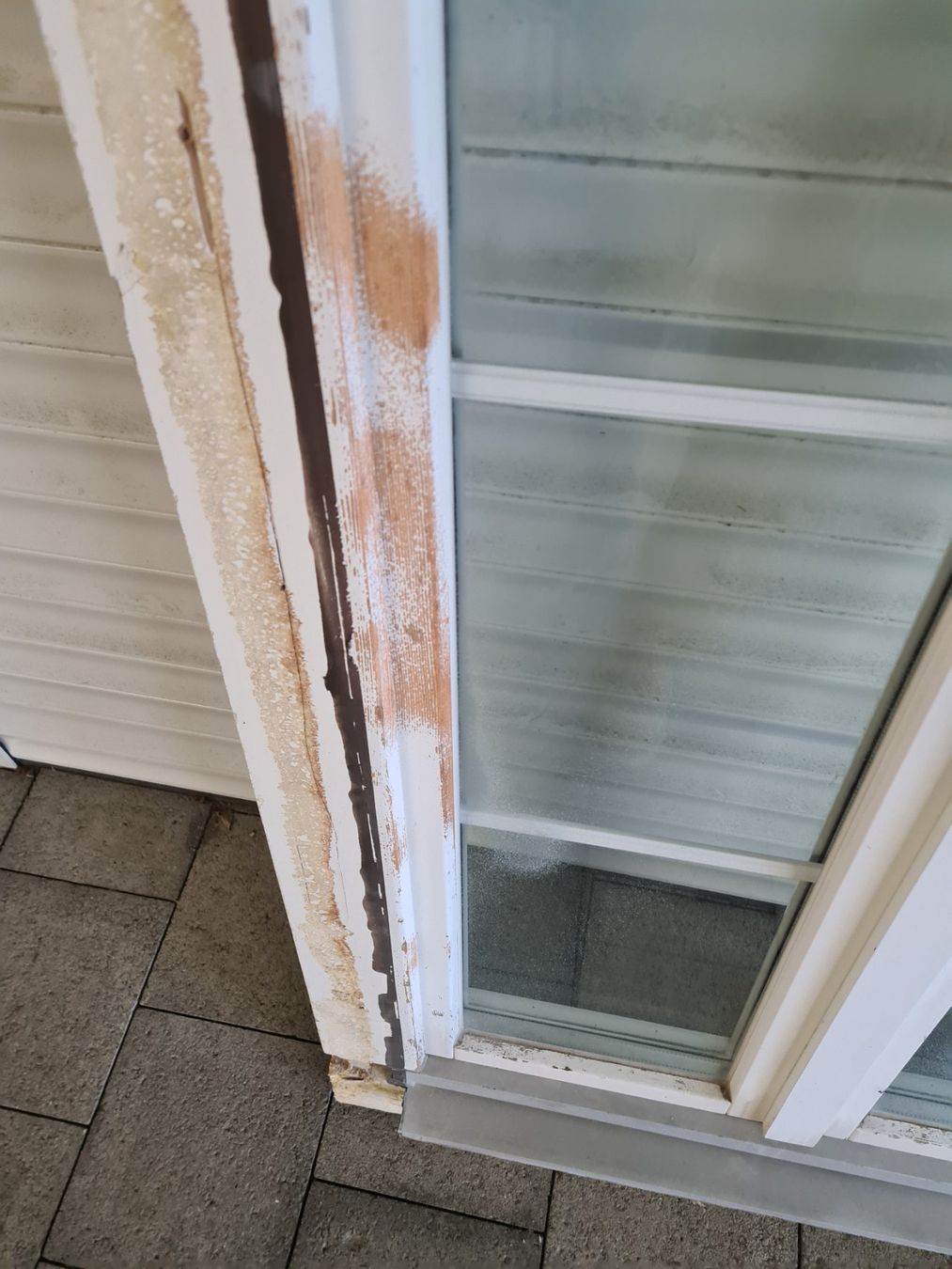 Finestre: Holzfenster Isolierglas weiss – Usato da Grosswangen venduto da Spieler10 5