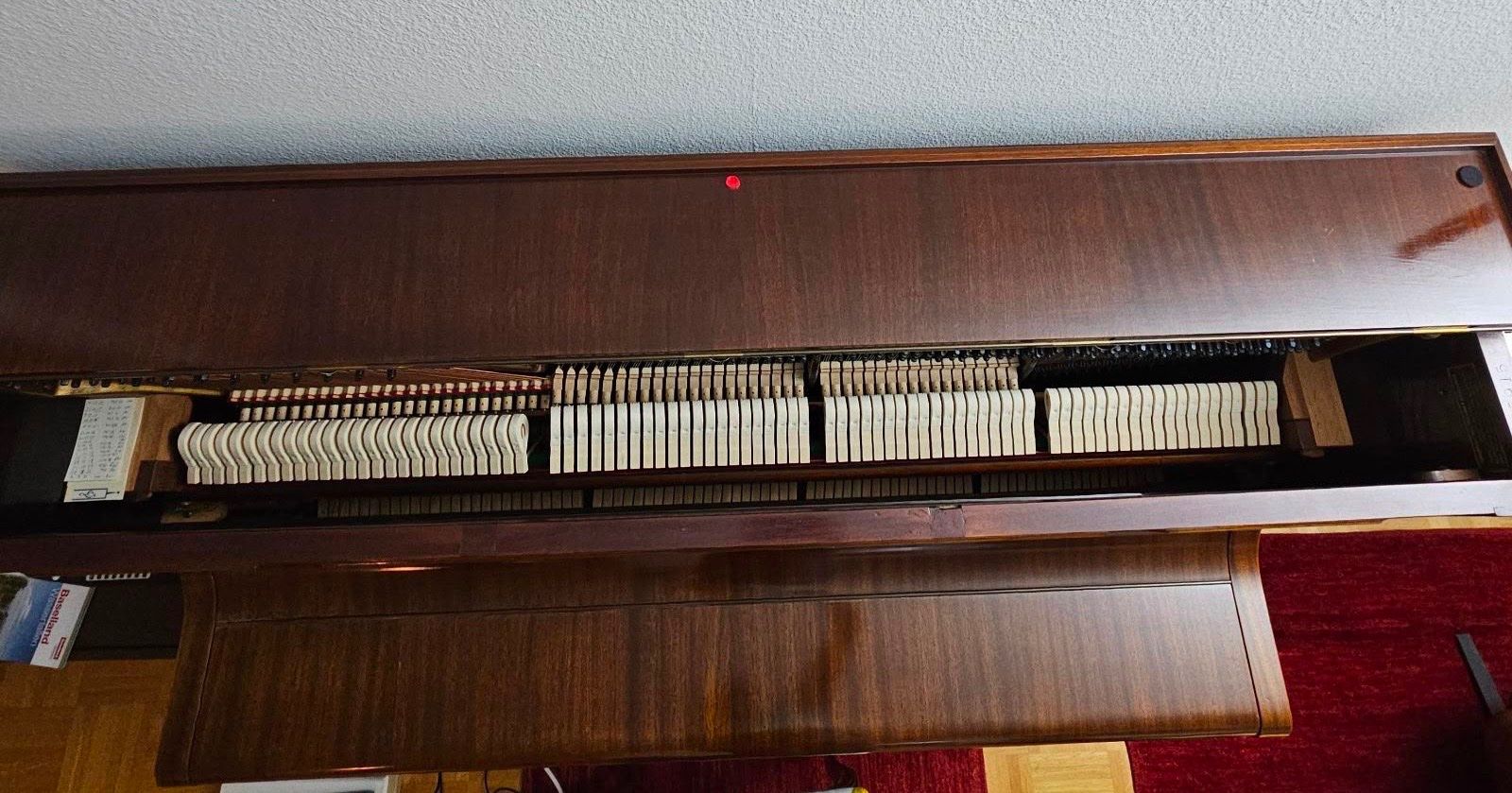 Strumenti musicali: C. Bechstein Klavier – Usato da Härkingen venduto da Applemania 3