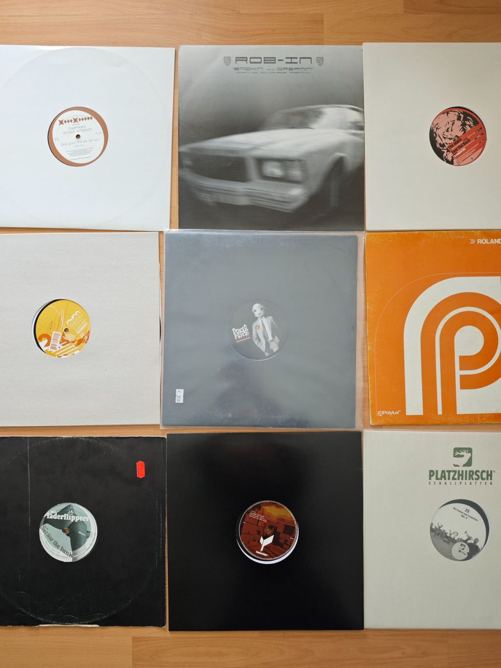 Schallplatten: 18 x Techhouse / Minimalhouse – Gebraucht aus Sitterdorf von denizio
