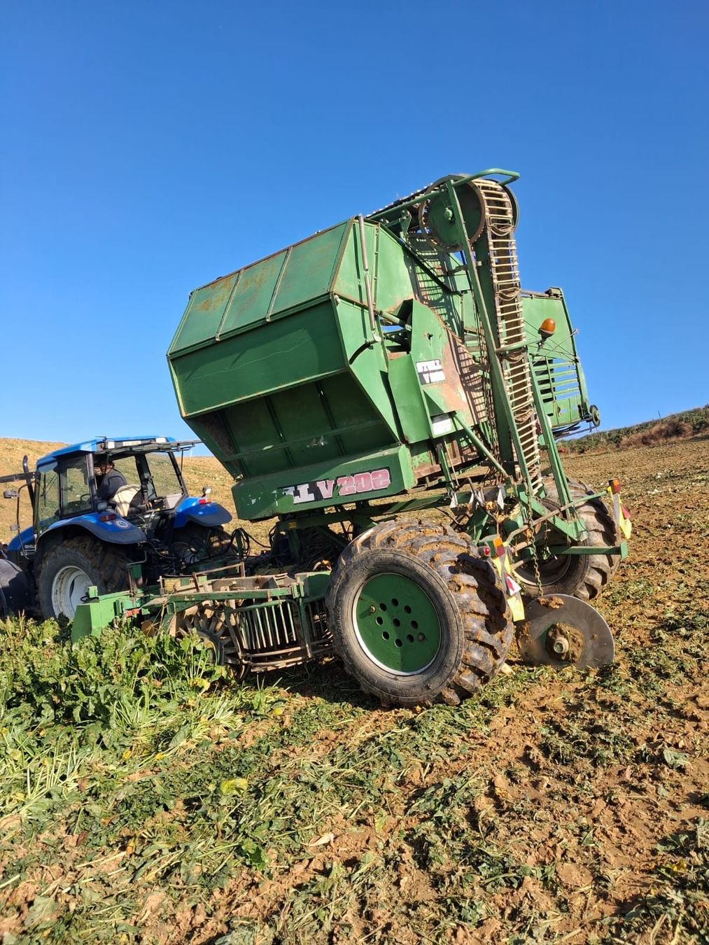 Stoll Tutte le macchine: Rübenvollernter Stoll V202 – Usato da Lengnau venduto da adimuller 1