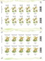 Pilze 2 KB ** Steinpilz  Eierschwammerl
