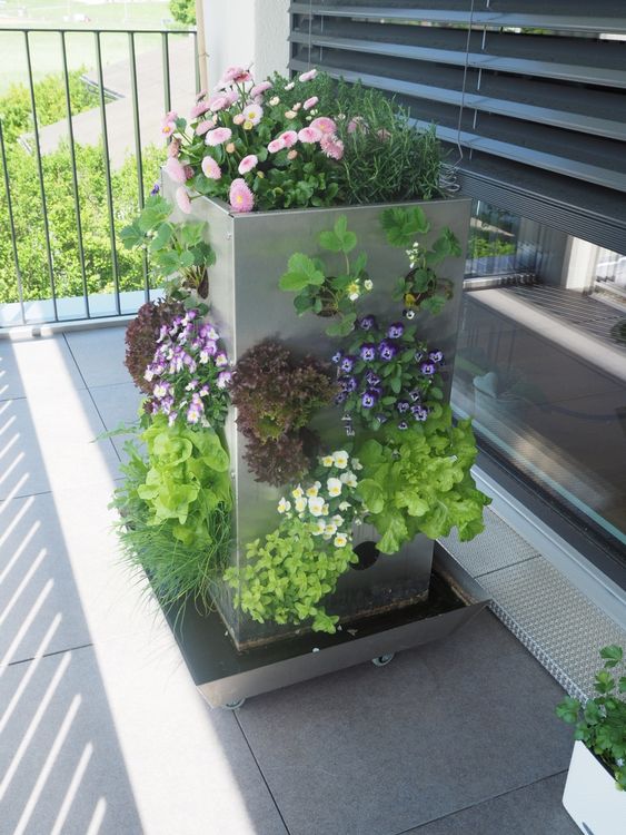 Hochbeet KUBI für Balkon & Garten Kaufen auf Ricardo