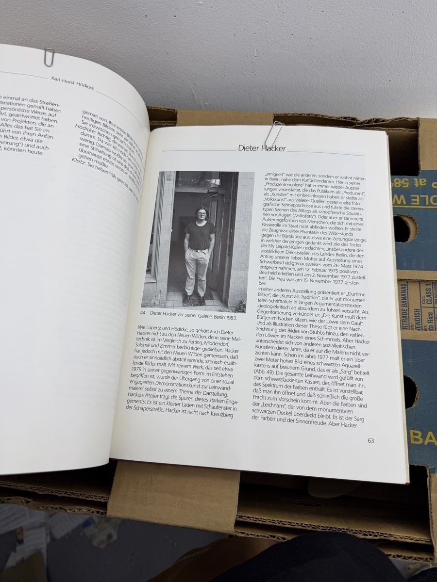 Libri: Die neuen wilden in Berlin – Usato da Wettingen venduto da NickInc 6