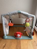 Fisher-Price Babyspielplatz/Spielbogen