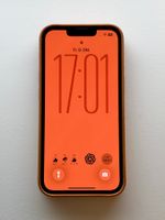 Apple iPhone 13 Pro 256 GB IOS 26 gebraucht mit viel Zubehör