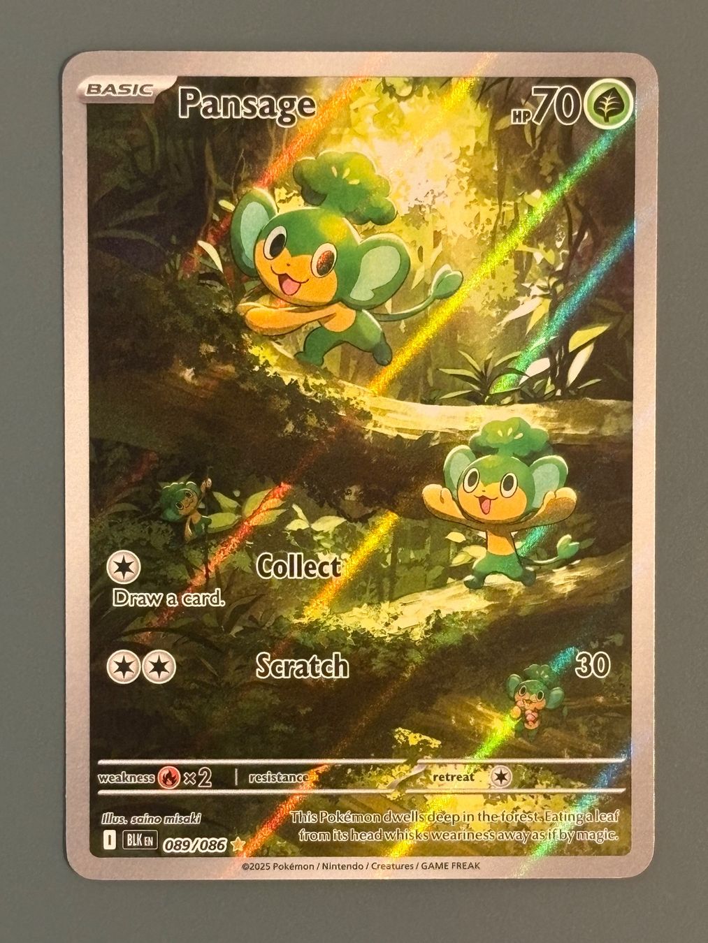 Pokémon Sammelbilder & Trading cards: Pansage 089/086 - BLK - ENG – Neu (gemäss Beschreibung) aus Seewen SZ von Pokeace93