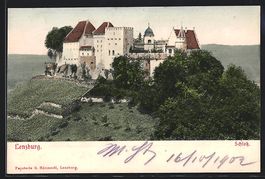 AK Lenzburg, Blick auf das Schloss, 1902