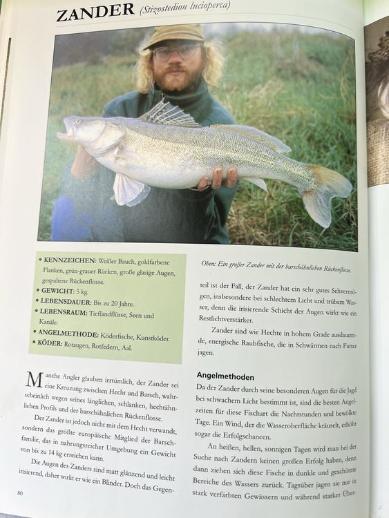 Das grosse Handbuch für Angler Süsswasser, Salzwasser 🎣 (5 (Gebraucht ...